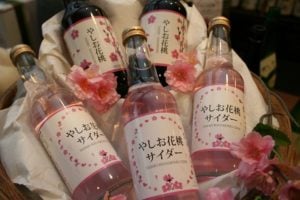 花桃まつりでも販売される「やしお花桃サイダー」