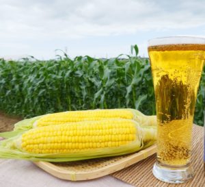 八街の青空の下でクラフトビール　ちばクラフト青空ビアガーデン　