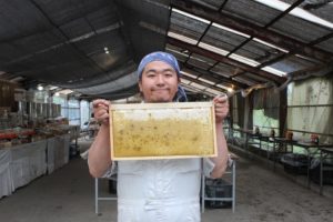 はちみつ王子のいる「はちみつ工房」（千葉県君津市）では養蜂の現場を間近で見られます