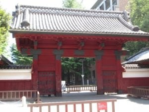 東大赤門前で聞きました！小学生時代の生活習慣