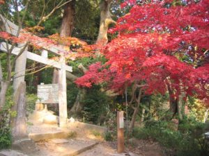 茨城県つくば市の筑波山は期間限定でケーブルカーとロープウェーが夜間運行さし、紅葉のライトアップも鑑賞できる