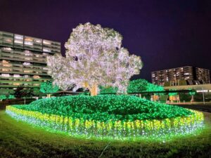 印西市のイルミネーション