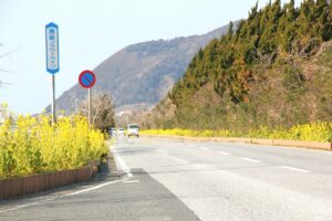 房総フラワーライン