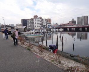 海辺の清掃作業