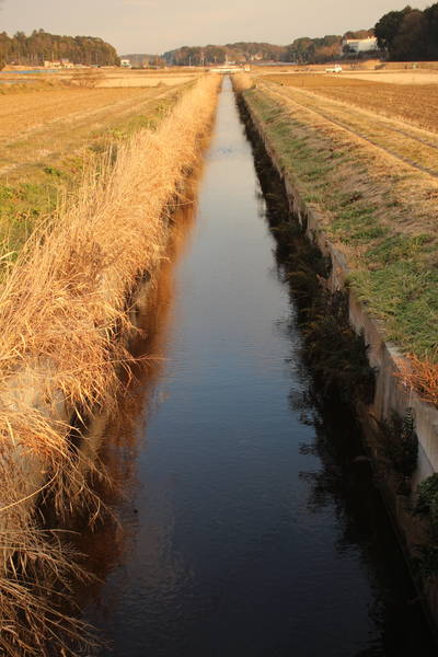 まっすぐ延びる水路、染井入落