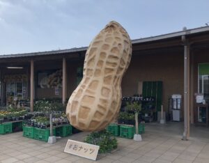 道の駅うまくたの里のフォトスポットは#おナッツモニュメント