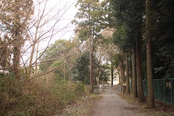 うっそうと茂る林。周辺に戸張城があり、弥生時代に人が住んでいた