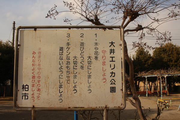 大井エリカ公園！