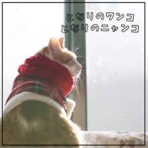 となりのワンコ・となりのニャンコvol.7-icon2