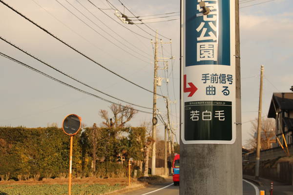 ミ 若白毛に突入！