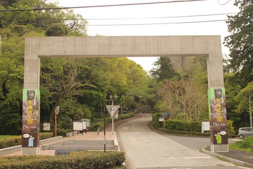 佐倉城址公園と歴史民俗博物館入口