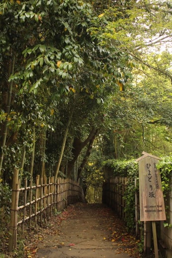 ひよどり坂