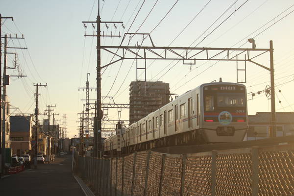 夕日を浴びる京成電車