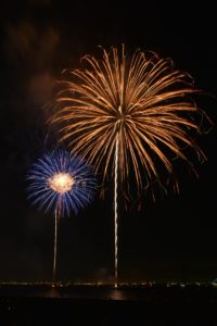 真夏の夜空を彩る浦安市花火大会の花火