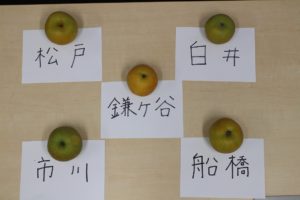 千葉県の梨5種類