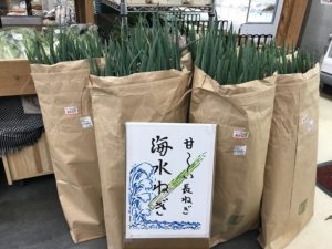 海水ねぎ千葉