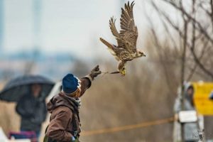 フライトフェスタ2020