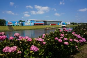 多古町のあじさい