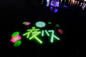 千葉公園の池にプロジェクションマッピングで映し出される大賀ハスと夜ハスんのロゴ