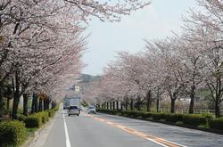 常総ふれあい道路