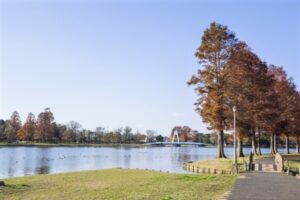 三郷市おすすめスポット「みさと公園」