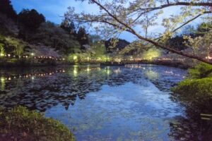 茂原市住みやすさ―茂原公園の夜景