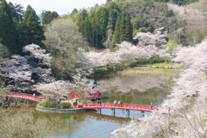 茂原市の歴史