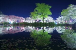 茂原市のイベント