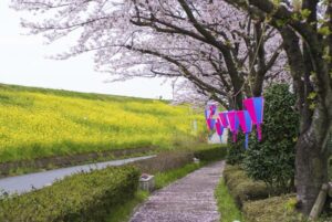 三郷市のイベント