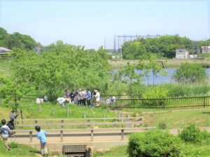 【船橋市】つぼいホタルプロジェクト！坪井湿地を復活する会の取り組み