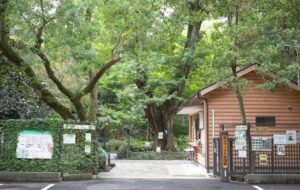 越谷市環境保全区域 「越谷アリタキ植物園」