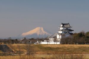 【野田市】魅力発見ツアー川と歴史のまち関宿を巡るコース