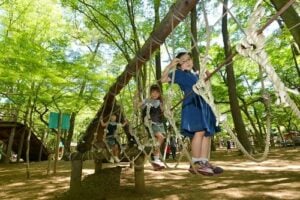 野田市おすすめスポット紹介-チイコミ