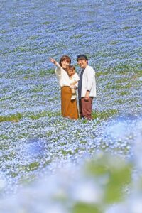 【富津市】マザー牧場のネモフィラ