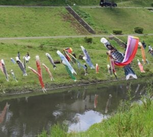 【流山市】うんがいい！こいのぼり2022