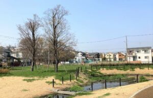 小塚山公園（どうめき谷津）