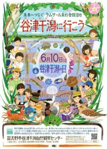 谷津干潟の日