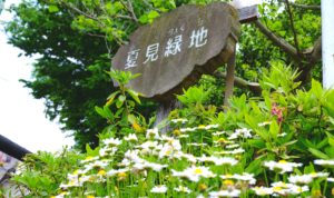 夏目緑地船橋花いっぱいの会
