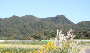 千葉で登山やハイキングを楽しむならここ！標高が低く、初心者にもおすすめのスポット10選