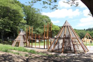 【松戸市】21世紀の森と広場「あそびのすみか」のオリジナル遊具はまるでアート！
