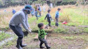 田んぼは多様な生物の命のゆりかご