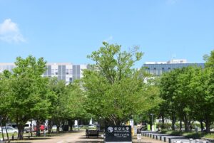最先端の学問の府、東大柏キャンパス（正面）