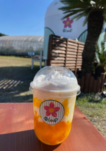 話題の「わらび餅ドリンク」が木更津に！キッチンスタンド「亜Lo波（アロハ）」