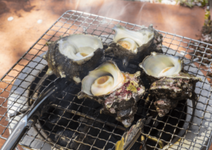 千葉の海鮮浜焼きおすすめ店9選　房総から近場、食べ放題まで