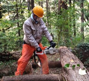 【八千代市】自然を楽しむことから始める「里山楽校」