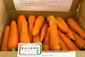 ベータ―キャロット