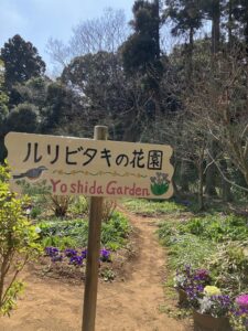 【佐倉市】春のオープンガーデン開催中！「吉田ガーデン」「ルリビタキの花園」5月14日まで