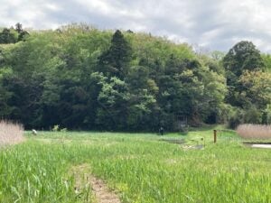 金光院谷津田【千葉市若葉区】