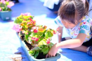【野田市】子どもたちと作る花プロジェクト開催！花から伝えるSDGsとまちの魅力