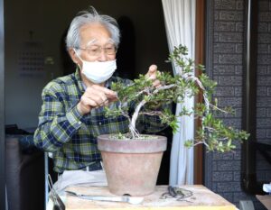 サツキ盆栽作家　小山高史さん